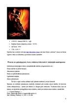 Referāts 'Reklāma internetā', 9.