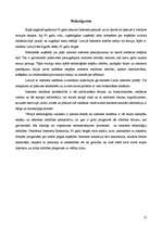 Referāts 'Reklāma internetā', 13.