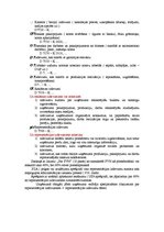 Konspekts 'Grāmatvedības kontu plāns', 3.