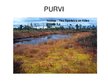Prezentācija 'Purvi', 1.