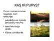 Prezentācija 'Purvi', 2.