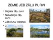 Prezentācija 'Purvi', 5.