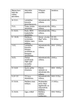 Referāts 'AS "Latvijas balzams" mārketinga darbības izpēte', 11.