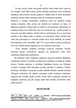 Referāts 'Strīdu veidi un to izšķiršanas kārtība darba tiesiskajās attiecībās', 19.
