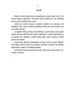 Referāts 'Sadales kanālu klasifikācija', 2.