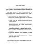 Referāts 'Sadales kanālu klasifikācija', 3.