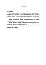 Referāts 'Sadales kanālu klasifikācija', 7.