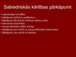 Prezentācija 'Terorisms un sabiedriskās nekārtības', 11.