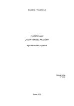 Referāts 'Mana vērtību piramīda', 1.