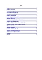 Referāts 'Mana vērtību piramīda', 2.