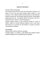 Referāts 'Mana vērtību piramīda', 4.