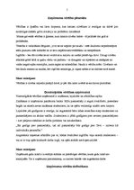 Referāts 'Mana vērtību piramīda', 5.