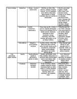 Konspekts 'Bērnu gremošanas orgānu sistēmas slimības', 2.