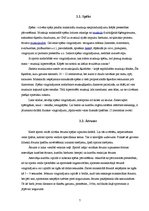 Referāts 'Fiziskās īpašības un to ietekme sporta aktivitātēs', 7.