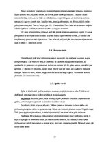 Referāts 'Fiziskās īpašības un to ietekme sporta aktivitātēs', 13.