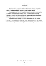 Referāts 'Fiziskās īpašības un to ietekme sporta aktivitātēs', 29.