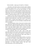 Eseja 'Grāmatvedība - īpaša pasaule īpašiem cilvēkiem', 1.