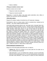 Konspekts 'Lietu tiesības', 8.