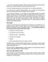 Konspekts 'Lietu tiesības', 26.