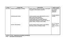 Prakses atskaite 'Aprūpes plāns abdominālajā ķirurģijā', 24.