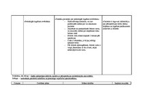 Prakses atskaite 'Aprūpes plāns abdominālajā ķirurģijā', 28.