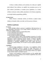 Referāts 'Noliktavu saimniecība', 15.