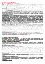 Konspekts 'Civiltiesības', 9.