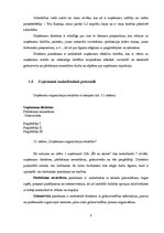 Biznesa plāns 'Biznesa plāns uzņēmumam "Ēd un skrien"', 8.