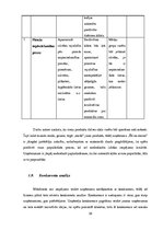 Biznesa plāns 'Biznesa plāns uzņēmumam "Ēd un skrien"', 16.