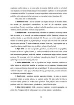 Biznesa plāns 'Biznesa plāns uzņēmumam "Ēd un skrien"', 38.
