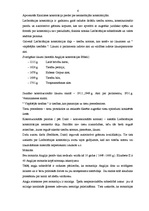 Referāts 'Ārvalstu konstitucionālās tiesības', 6.