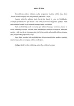 Referāts 'Sociālā reklāmas kampaņa pret pašnāvību gadījumiem Latvijā', 2.