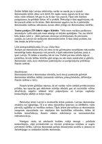 Eseja 'Ekonomiskā krīze', 1.