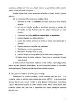 Referāts 'Mīlestības māksla kā pamats harmonisku attiecību veidošanai ģimenē', 5.