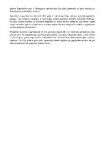 Referāts 'Āgenskalna tirgus', 5.