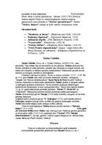 Referāts 'Renesanses laikmeta izcilākās personas un to sasniegumi, izgudrojumi', 6.