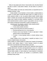 Diplomdarbs 'Nodokļu administrēšana un uzskaite VID', 19.