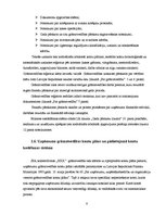 Prakses atskaite 'Grāmatvedības paņēmienu pielietojums', 8.