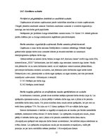 Prakses atskaite 'Grāmatvedības paņēmienu pielietojums', 15.