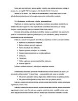 Prakses atskaite 'Grāmatvedības paņēmienu pielietojums', 17.