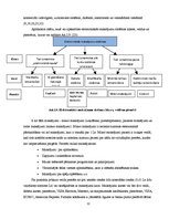 Referāts 'E-komercija un e-komercijas veidi', 31.