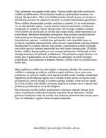 Konspekts 'Zviedrijas konstitucionālās tiesības', 4.