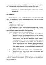 Referāts 'Komercbanku valūtas operācijas', 10.