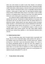 Referāts 'Komercbanku valūtas operācijas', 18.