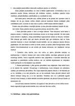 Referāts 'Komercbanku valūtas operācijas', 37.