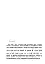 Referāts 'Komercbanku valūtas operācijas', 39.