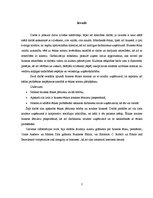 Referāts 'Biznesa ētika un amats privātajās struktūrās', 2.