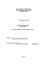 Prakses atskaite 'SIA "XXX" mārketinga komunikāciju plāns', 1.