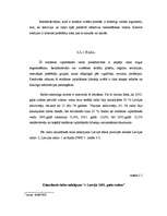 Referāts 'Reklāmas izplatīšanās veidi Latvijā un to raksturojums', 7.