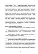 Diplomdarbs 'Personālvadība', 9.